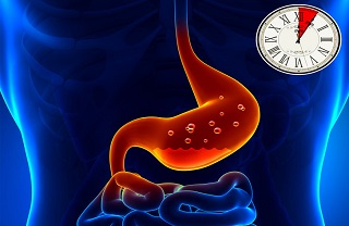 optimal food culture for continuous health,فرهنگ غذایی مطلوب برای سلامتی مستمر